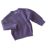 Chunky Knit Pullover - Grape