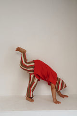 Cropped Pants - Carnival Stripe