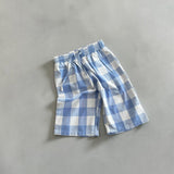 Check Pants- Storm