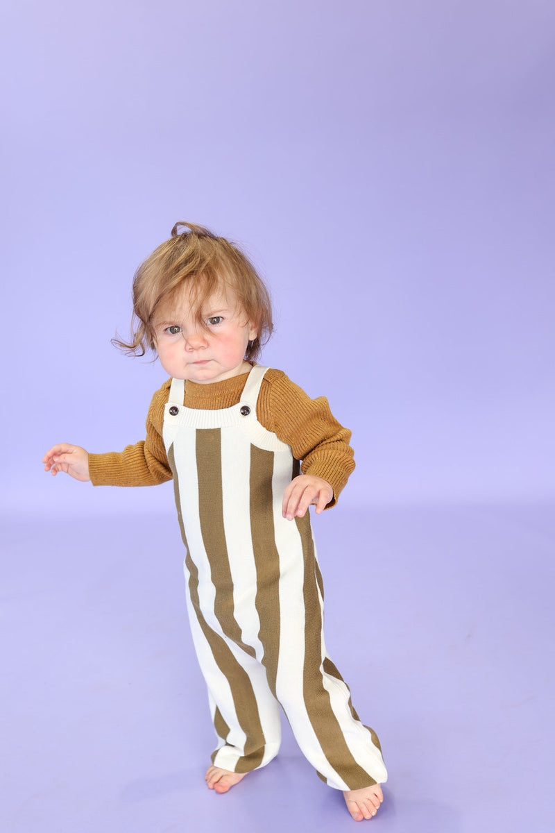 Vertical Stripe Knit Overalls