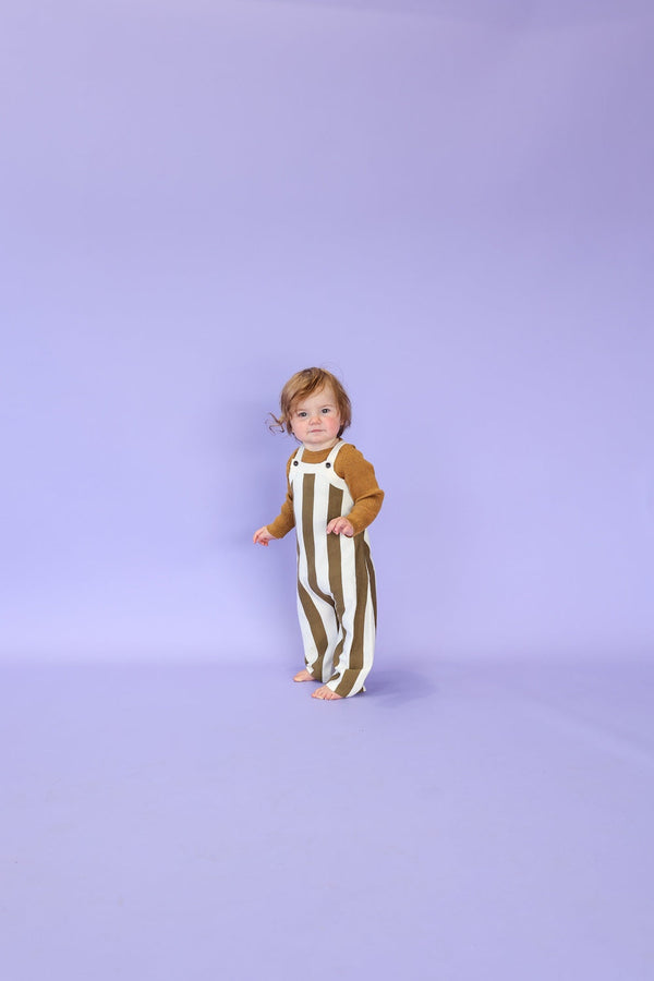 Vertical Stripe Knit Overalls