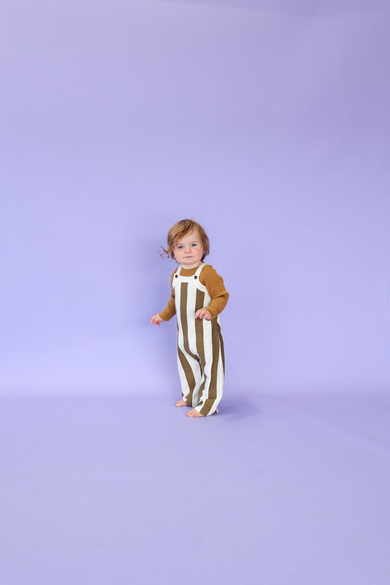 Vertical Stripe Knit Overalls
