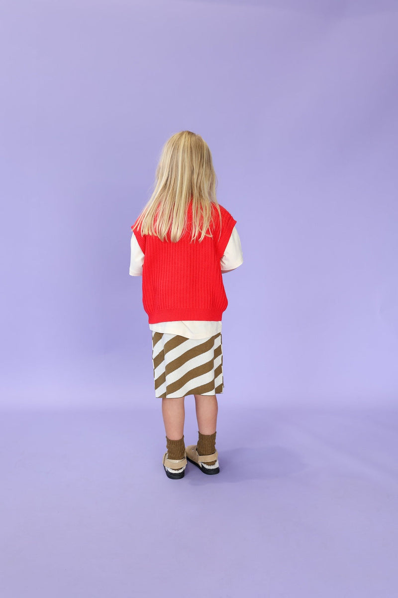 Diagonal Stripe Knit Skirt