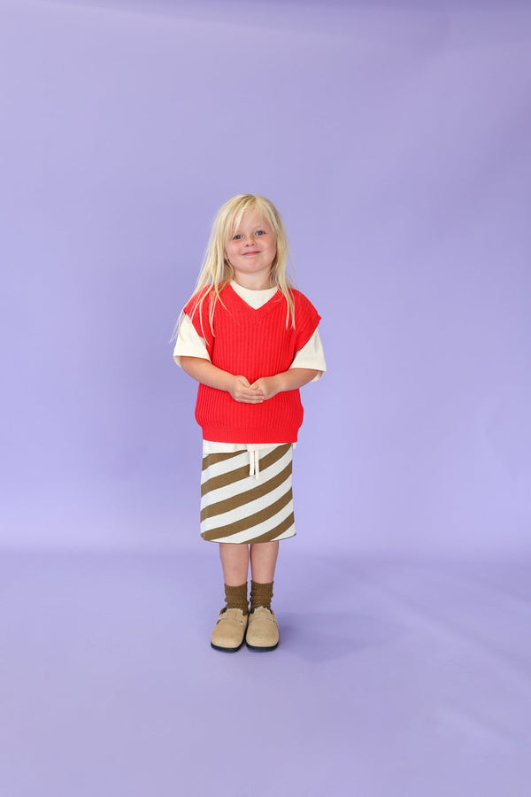 Diagonal Stripe Knit Skirt