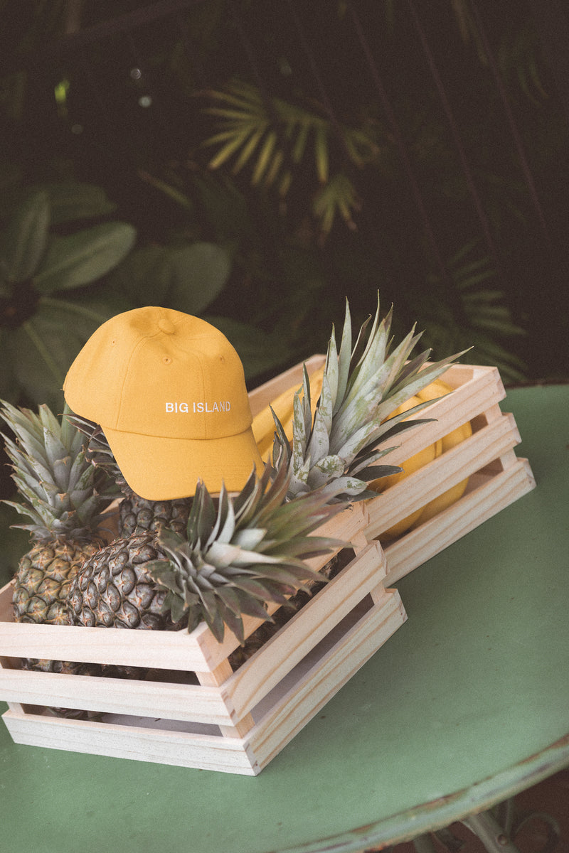 SHORT PREORDER CB Big Island Cap - Mustard