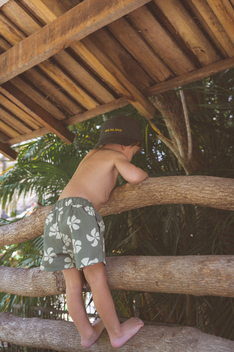 CB Honolulu Board Shorts - Olive