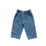 Organic Starlight Embroidery Denim Pant