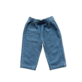 Organic Starlight Embroidery Denim Pant