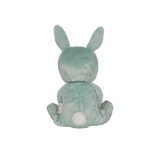 Dinky Dinkum Dolls - Biscuit Bunny Mint