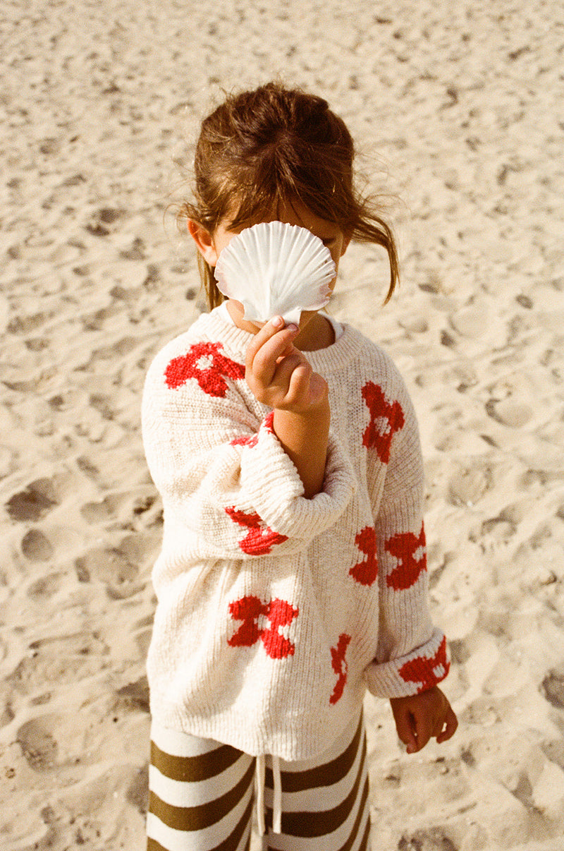 Knitted Posy Pull Over