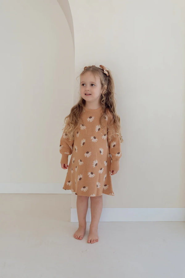 LONG SLEEVE DRESS | HAZEL