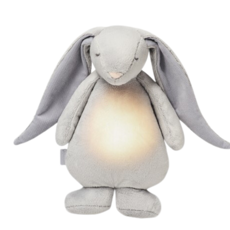 Humming Bunny with Lamp | Silver
