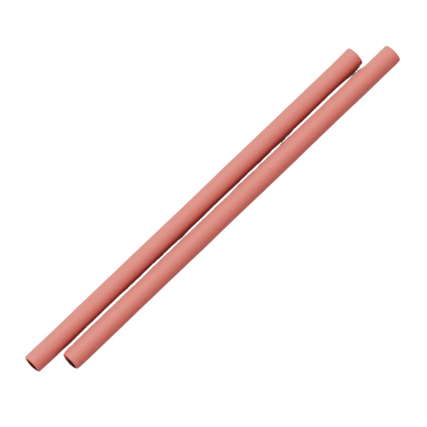 Silicone Straw 2 pack | CLAY